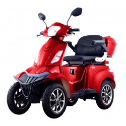 electric mobility scooter HS650 EEC (16")