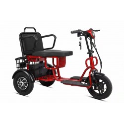 Elektrinis vežimėlis M5PL (10")