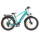 ENGWE E26 electric bike (26")