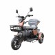 electric tricycle wheelchair M20 Li-ion (16")