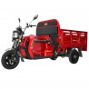 Electric three-wheel cargo scooter DLS150 PRO!
