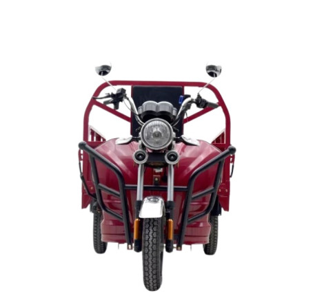 Elektrinis triratis krovininis motoroleris JL150 (12')