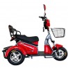 Electric tricycle wheelchair LIDIA j3 LI-ION (10')