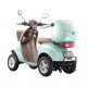 electric tricycle wheelchair MS03 EEC (16")