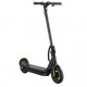 electric scooter S10X Bird Limited (10')