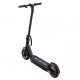 electric scooter S10X Bird Limited (10')