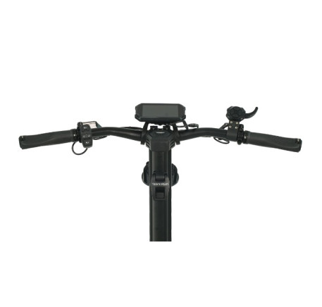 TEVERUN FIGHTER 11+ 60V 35Ah elektrinis paspirtukas 
