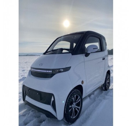 Elektrinis mini automobilis J4 EEC 1000W 65AH (R12)