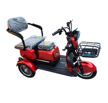 Elektrinis triratis RIDE-E M20R PRO