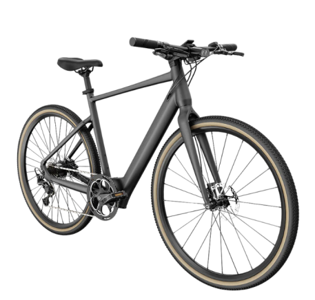 FIIDO C21 E-GRAVEL elektrinis dviratis (28")