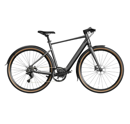 FIIDO C21 E-GRAVEL elektrinis dviratis (28")