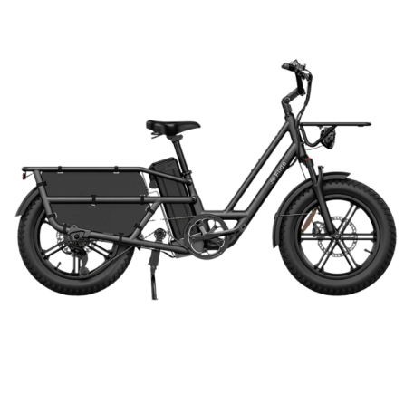 FIIDO T2 CARGO elektrinis dviratis (20")