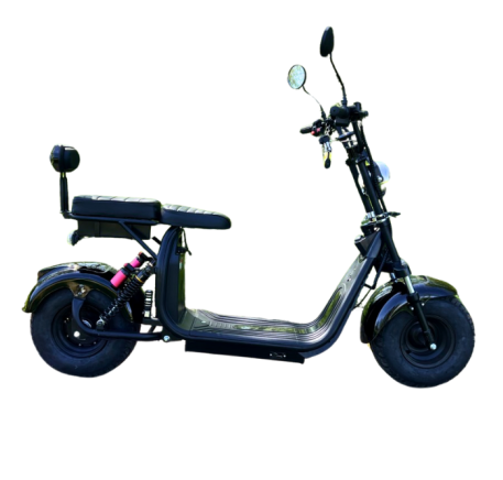 Elektrinis motoroleris CITYCOCO TURA X10(16")