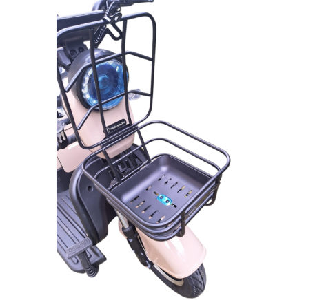 Elektrinis triratis RIDE-E M20R PRO