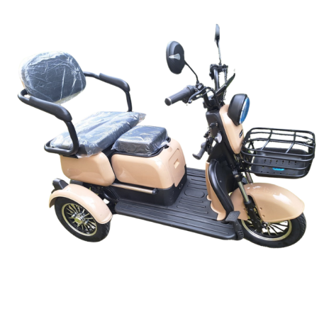 Elektrinis triratis RIDE-E M20R PRO