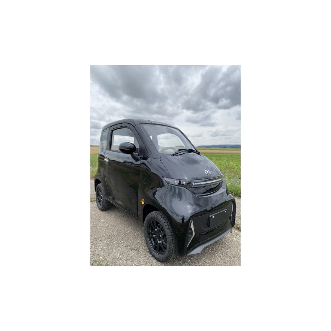 Elektrinis mini automobilis J4 EEC 1000W 100AH  (R12)