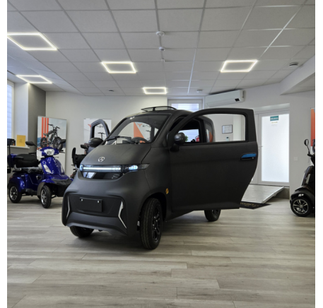 Elektrinis mini automobilis J4 EEC 1000W 100AH  (R12)