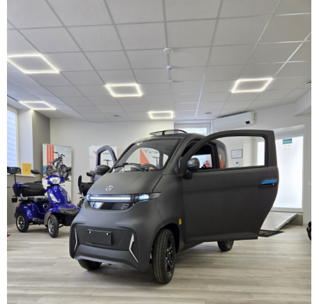 Elektrinis mini automobilis J4 EEC 1000W 100AH  (R12)