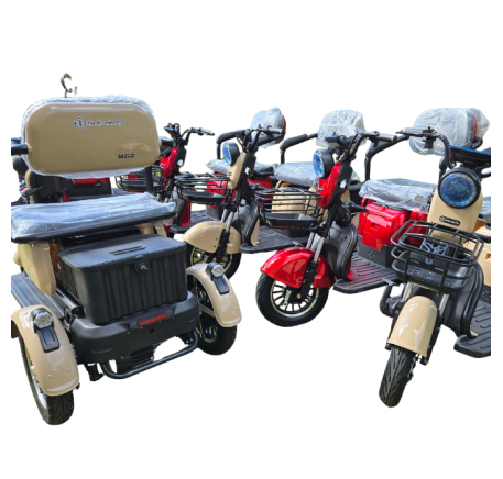 Elektrinis triratis RIDE-E M20R PRO