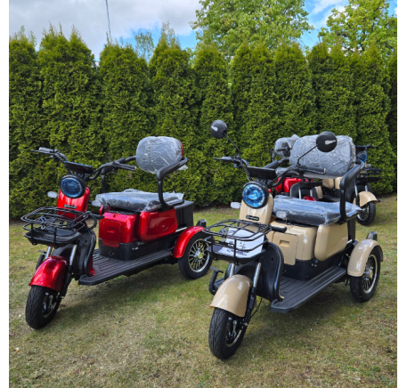 Elektrinis triratis RIDE-E M20R PRO