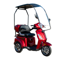 Elektrinis triratis RIDE-E...