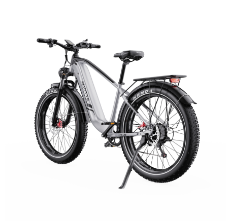 DUOTTS F26 Lite elektrinis dviratis (26")
