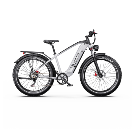 DUOTTS F26 Lite elektrinis dviratis (26")