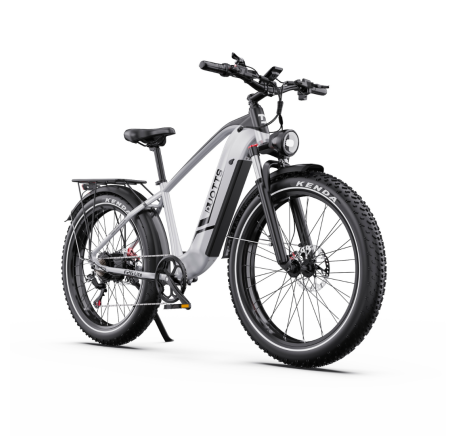 DUOTTS F26 Lite elektrinis dviratis (26")