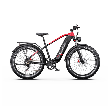 DUOTTS F26 Lite elektrinis dviratis (26")