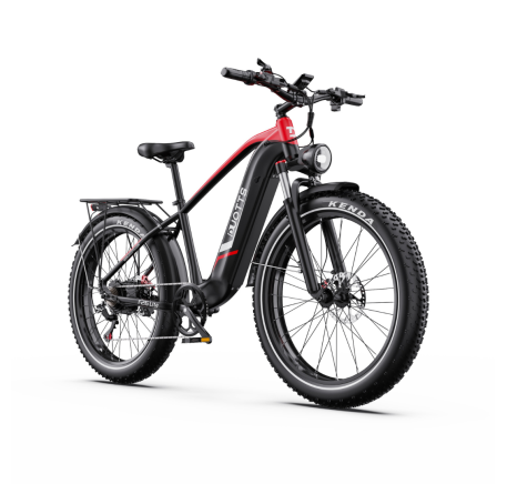 DUOTTS F26 Lite elektrinis dviratis (26")