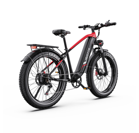 DUOTTS F26 Lite elektrinis dviratis (26")