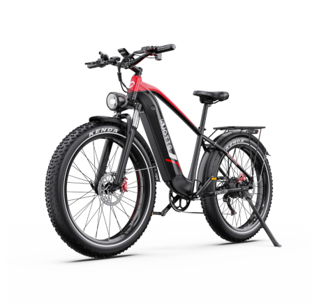 DUOTTS F26 Lite elektrinis dviratis (26")