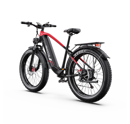DUOTTS F26 Lite elektrinis dviratis (26")
