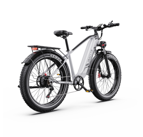 DUOTTS F26 Lite elektrinis dviratis (26")