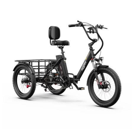 OneSport OT30 Pro CARGO elektrinis triratis dviratis (20")