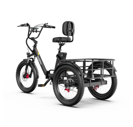 OneSport OT30 Pro CARGO elektrinis triratis dviratis (20")