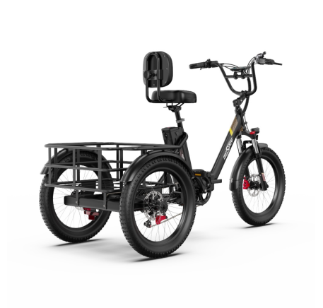OneSport OT30 Pro CARGO elektrinis triratis dviratis (20")
