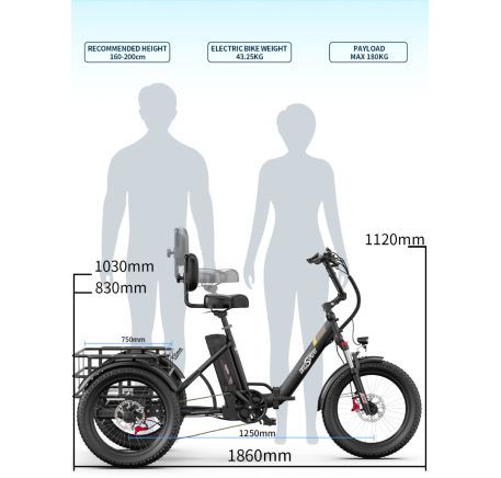 OneSport OT30 Pro CARGO elektrinis triratis dviratis (20")