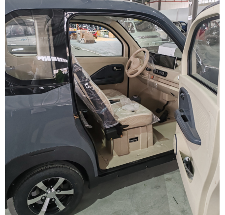 Elektrinis mini automobilis RIDE-E TUNA 4KW (EEC)