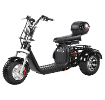 Elektrinis motoroleris...