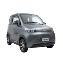 Elektrinis mini automobilis...