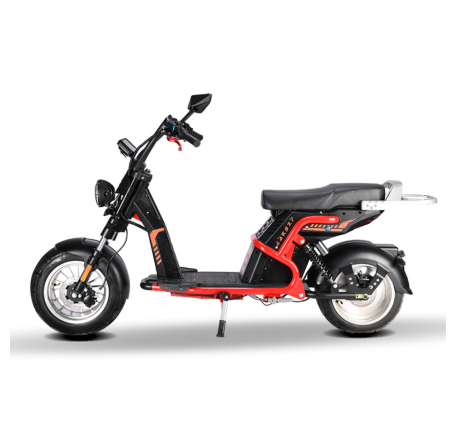 Elektrinis motoroleris RIDE-E CP-9 (EEC)
