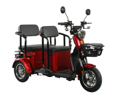 Elektrinis triratis RIDE-E MINGO (EEC)