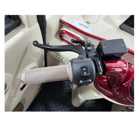 Elektrinis triratis mini automobilis RIDE-E DOMI 1KW (EEC)