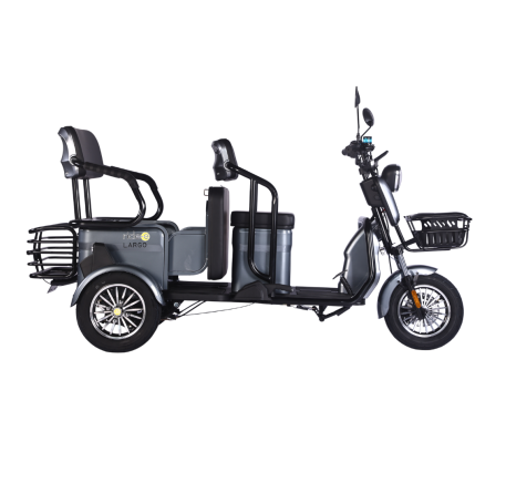 Elektrinis triratis RIDE-E LARGO (EEC)