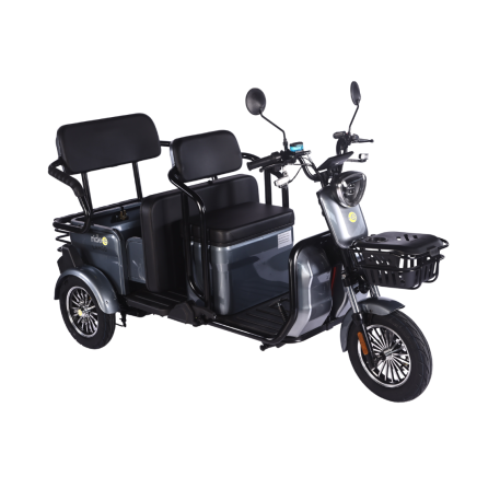 Elektrinis triratis RIDE-E LARGO (EEC)