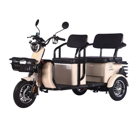 Elektrinis triratis RIDE-E LARGO (EEC)