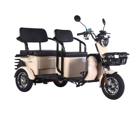 Elektrinis triratis RIDE-E LARGO (EEC)