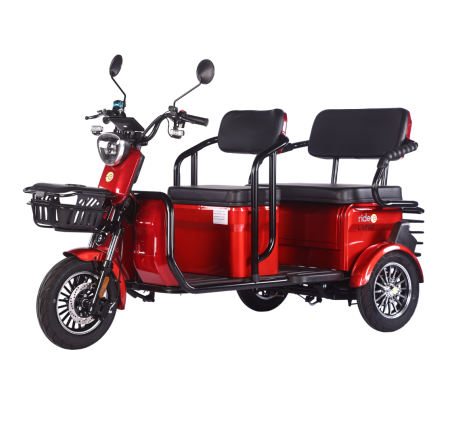 Elektrinis triratis RIDE-E LARGO (EEC)