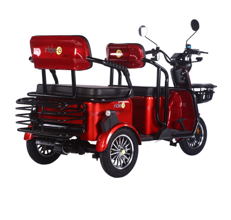 Elektrinis triratis RIDE-E LARGO (EEC)